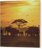 Herd Of African Elephants At Golden Sunset Wood Print