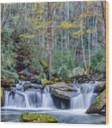 Hidden Waterfall Wood Print