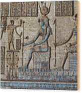 Hieroglyphic Carvings In Egyptian Temple Wood Print