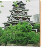Hiroshima Castle Wood Print