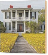 Historic Home With Yard Of Wildflowers - Beaufort North Carolina Wood Print