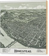 Homestead Pennsylvania Vintage Map Birds Eye View 1902 Wood Print