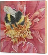Honey Bee Wood Print