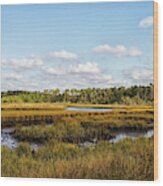 White Oak River Wetlands Wood Print