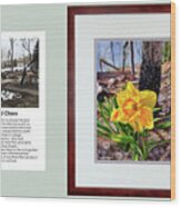 Hope Amidst Chaos With Photo Wood Print