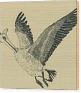 Horn Necked Goose Wood Print