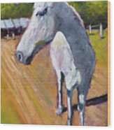 Horse At Inavale Wood Print
