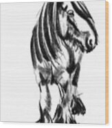 Horse George Wood Print