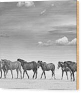 Horses In The High Desert. Wood Print