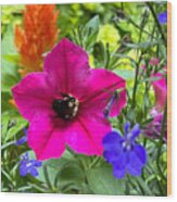Hot Pink, Orange, Blue Flowers And A Carpenter Bee Wood Print