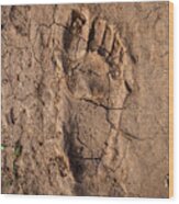 Human Footprint In The East-african Desert (malawi) Wood Print