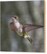Hummingbird 1 Wood Print