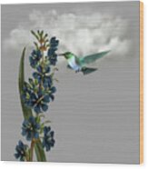 Hummingbird In The Garden Pane 1 Wood Print