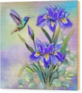 Hummingbird On Blue Iris Wood Print
