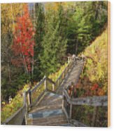 Huron Manistee National Forest In Michigan With Fall Colors Wood Print
