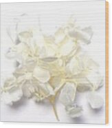 Hydrangea  -  Whitesprig Wood Print