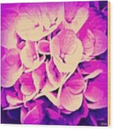 Hydrangea Purple Glory Moderne Wood Print