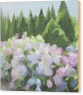 Hydrangea Season Wood Print