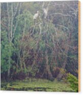 Ibis In The Fog Wood Print