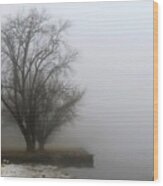Ice And Fog On The Delaware River Wood Print