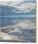 Ice Floes And Gulls Wood Print