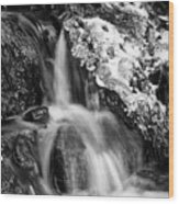 Ice Jevels By The Brook 3 Bw Wood Print