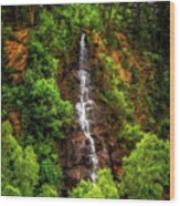Idaho Springs Waterfall Wood Print