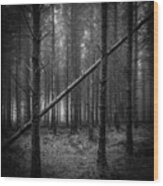 If A Tree Falls In A Forest... Wood Print