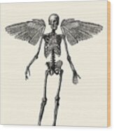 Immortality Skeleton Wood Print