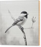 In Graphite's Embrace - Chickadee Paintings Wood Print