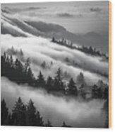Incoming Fog, Mt. Tamalpais Wood Print