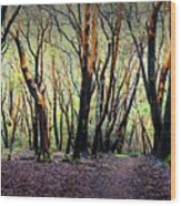 Indian Valley Forest Wood Print