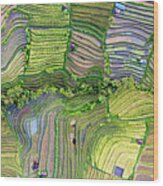 Indonesia Bali Rice Terraces Aerial From Above Wood Print