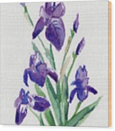 Iris Wood Print