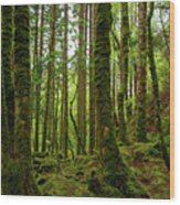 Irish Green Wood Print