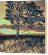 Isolated At Sunrise Fx Wood Print