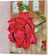 Italian Rose Wood Print