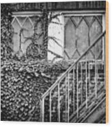 Ivy, Window And Stairs Wood Print
