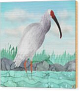 Japanese Crested Ibis Wood Print