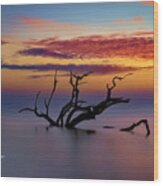 Jekyll Island Serenity Wood Print