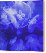 Jellyfish In The Water Wood Print