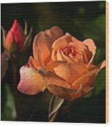 June 2022 Rose No. 1 Wood Print