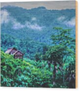 Jungle Home, 1996, Kodachrome 64 Wood Print