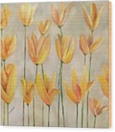 Spring Tulips  #1 Wood Print