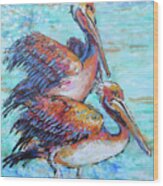 Juvenile Pelicans Wood Print