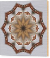Cattailiattac-  Kaleidoscope Mandala Of  Cattail Pair Wood Print