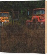 Karly's Trucks Wood Print