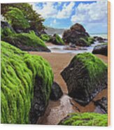 Kauia Beach Wood Print