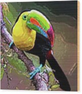 Keel-billed Toucan 1 Wood Print