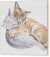 Two Sleeping Cats - Warmest Hug Wood Print